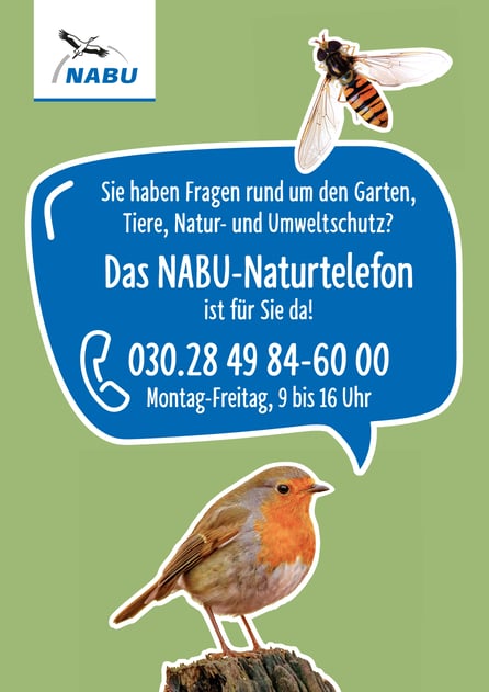 Das Bild zeigt einen bunten Vogel mit einer Sprechblase für das NABU Naturtelefon. Dies ist erreichbar von Montag bis Freitag zwischen 9 und 16 Uhr. Es hat die Rufnummer 030 2849846000