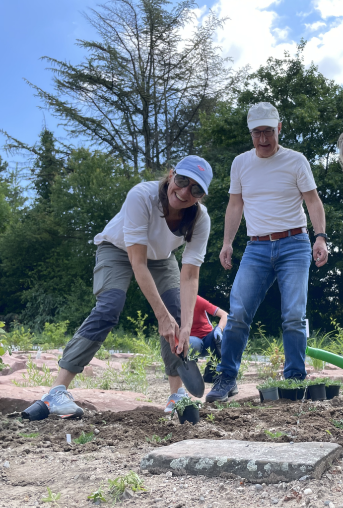 Das Bild zeigt eine Frau und einen Mann beim Bepflanzen eines Beets im Internationalen Kräutergarten.